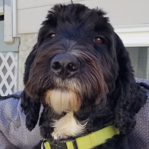 Meet your Posher, Jenn - Picture 1 of 1